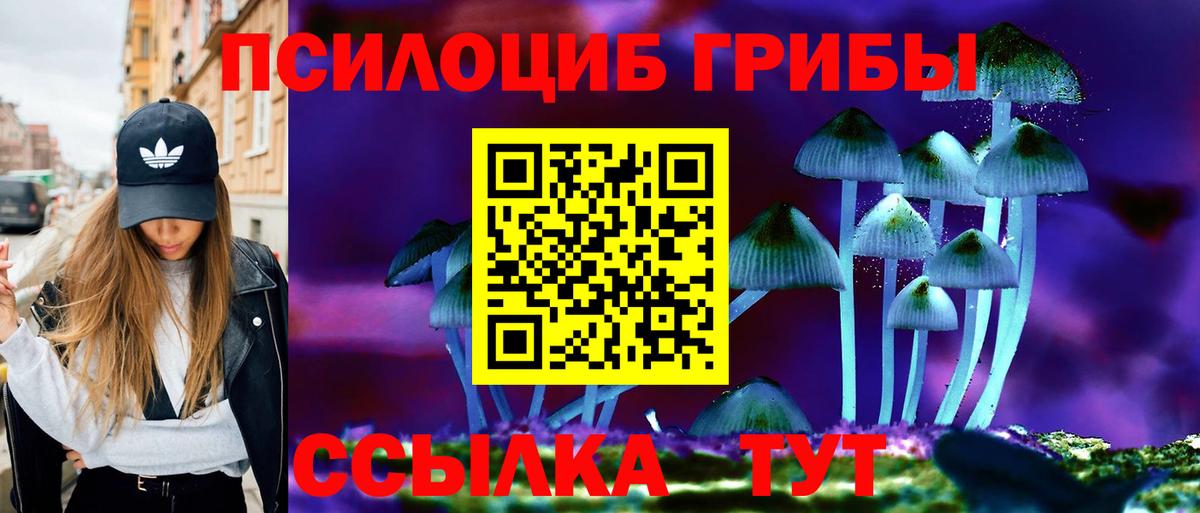 Псилоцибиновые грибы мухоморы  Псилоцибиновые грибы мухоморы  как найти закладки  Железногорск  Вход с VPN 